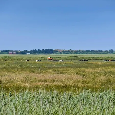 C11118-hemmet-horsfold-148 Hemmet